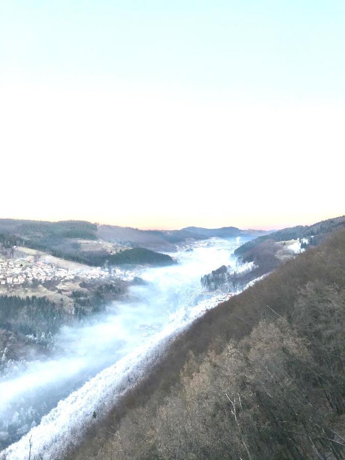 Apartment In Zlatar